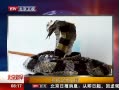 硷 ֽ