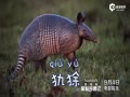 ƵѷȺǡ糡ԤƬ