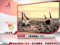 ӽ硷 Ѫޡ111սӳ