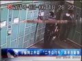 ȫλ С͵͵ ϼ
