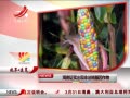 ӽ硷 ֤ʵַǷת