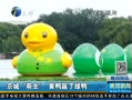 š ѼӮѼ