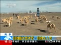 ֱ䡷 ڣ޻˽