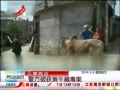 ӽ硷 ٲףƻţض