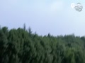 Ƶ-ھּ ָͩл