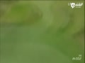 Ƶ-ӢŮӹֽ 