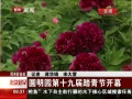 硷 Բ԰ʮŽ̤ڿĻ
