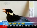 ƵձӸ˵ һӵ绰