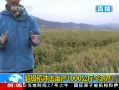 ֱ䡷 Ķ1000