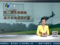 12㱨 йֱ Ѷȷж