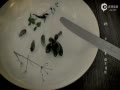 ƵӨ顷MVײ