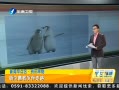 簲 ̻·