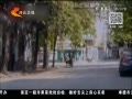 񳯡 ɶɳٽ¿ײ