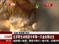 硷 Ұ԰һֻ˿