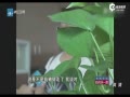 Ůп90 Ƕƭʧ100Ԫ