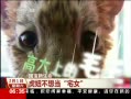 ¡ 椲뵱լŮ