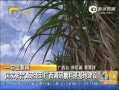 š ϵ鵽ǿؽ