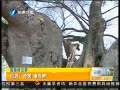 簲 Σ