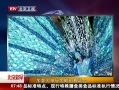 硷 ôмձװ