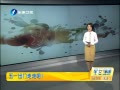 簲 ɽǧĶõ λ
