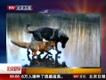 硷 