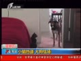 7š Сè ӳ
