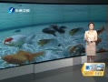 簲 ݣϿ沩 æѡ
