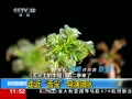 ֱ䡷 ϵйڶ