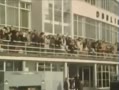 1961굽ֳֻ