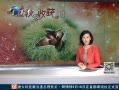 12㱨 ڵЦ