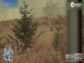 ˵ӰŮ 鵽λݼ