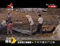 䴫 20140101 ǧ겻Ůʬ֮