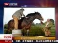 硷 Ӣƥ3