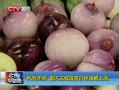 CQTVš  ߲˼۸΢