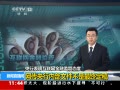 ֱ䡷 ڲļն