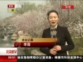 硷 26챱һڿĻʢɽҰ