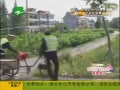 綯ײ ෭