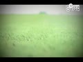 Ƶ-ٷսϸƬ սڼڴ