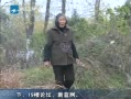 һȡ 㽭ڣ300浥 ԭ