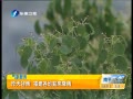 簲  ӭ
