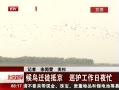 硷 Ǩ־ Ѳҹæ