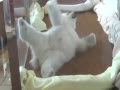 ʵĳȱܱ Ľų˰