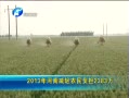  2013ϼũ񸺵2383