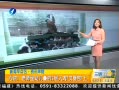 簲 ʦ׶3⺺