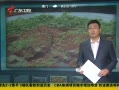 㶫糿 ٽ罷ͷ˹¼