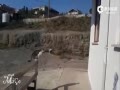 Cat_Jump_Fail