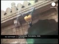 Youtube-Monkey man - No comment_480P