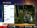硷 ׶ض԰ȴɫ