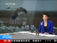 ֱ䡷 ֣׺Ǩ·ϵĸ߼