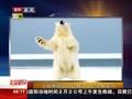 硷 ֤ʵָ
